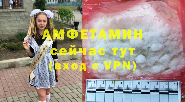 шишки Нея