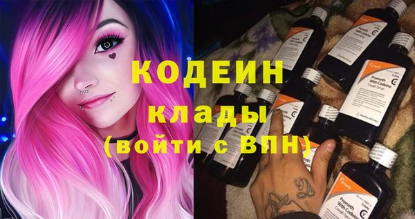 шишки Нея