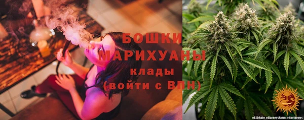 дурь Болотное