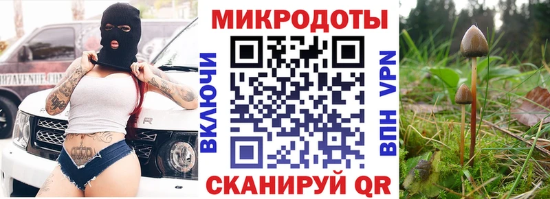 Псилоцибиновые грибы ЛСД  Каменск-Шахтинский 