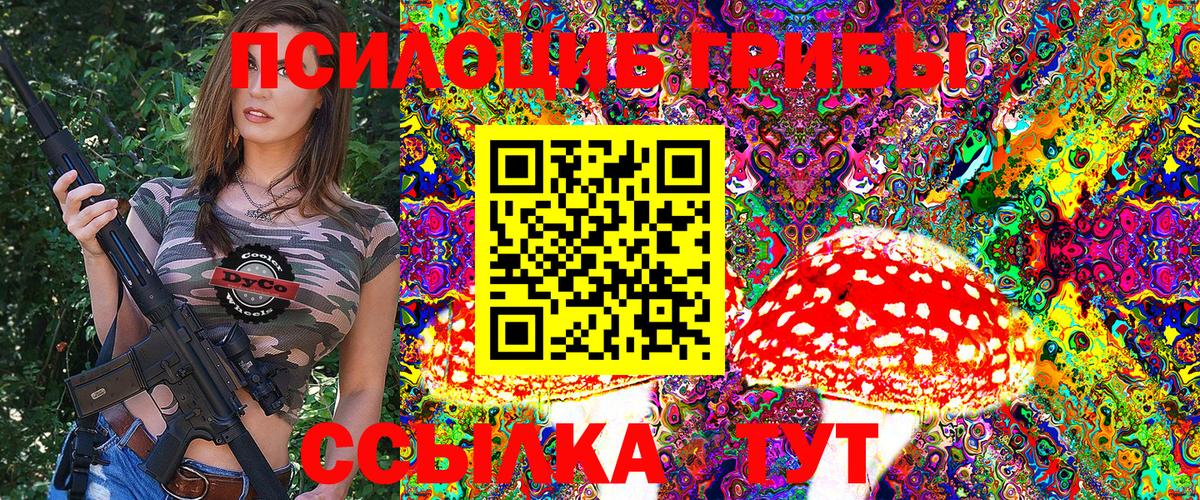 Галлюциногенные грибы Psilocybine cubensis Каменск-Шахтинский