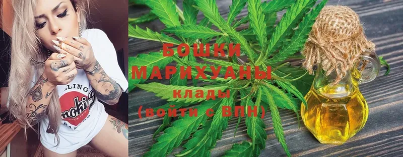 купить наркотики сайты  Каменск-Шахтинский  МАРИХУАНА SATIVA & INDICA 